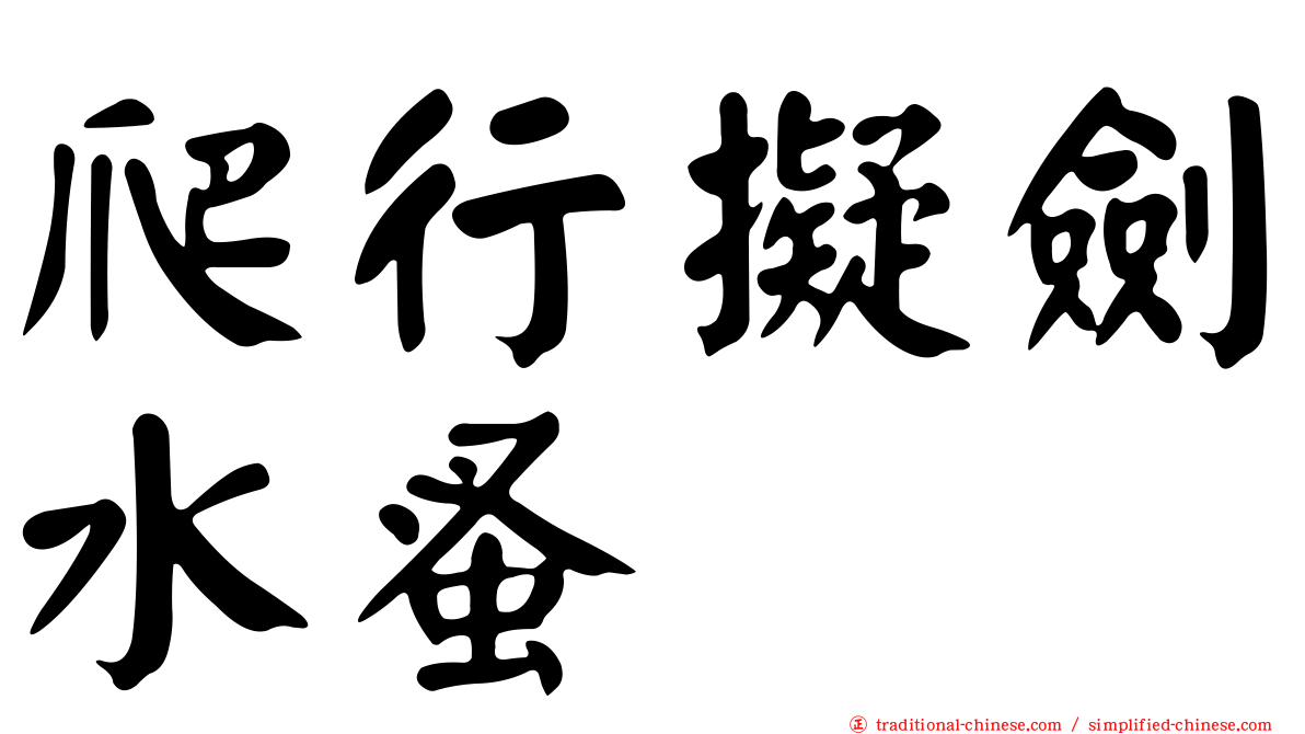 爬行擬劍水蚤