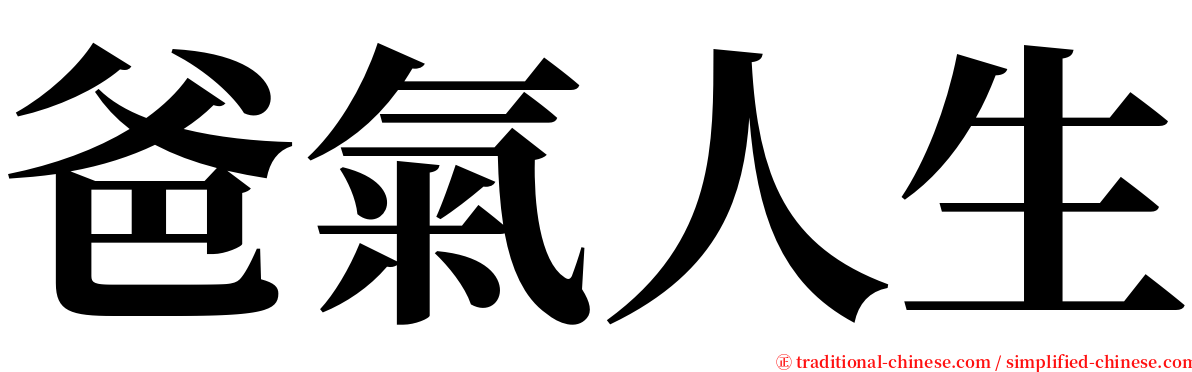 爸氣人生 serif font