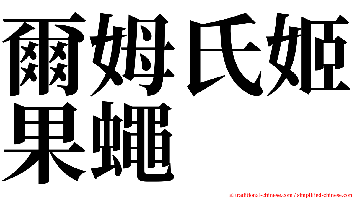 爾姆氏姬果蠅 serif font