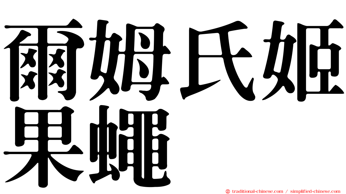 爾姆氏姬果蠅