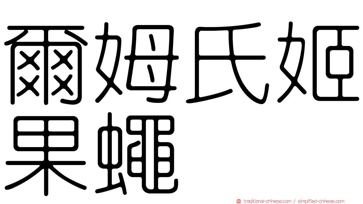 爾姆氏姬果蠅