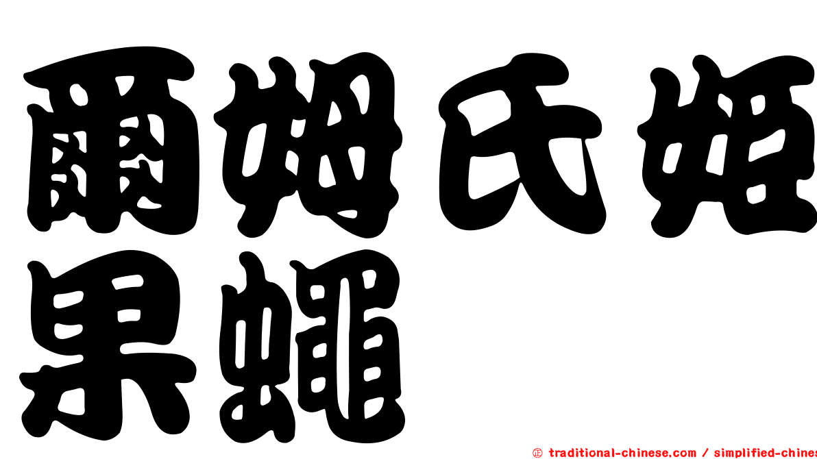 爾姆氏姬果蠅