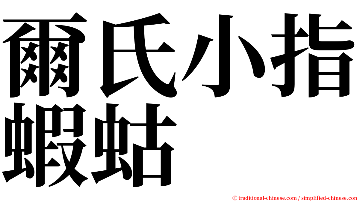 爾氏小指蝦蛄 serif font