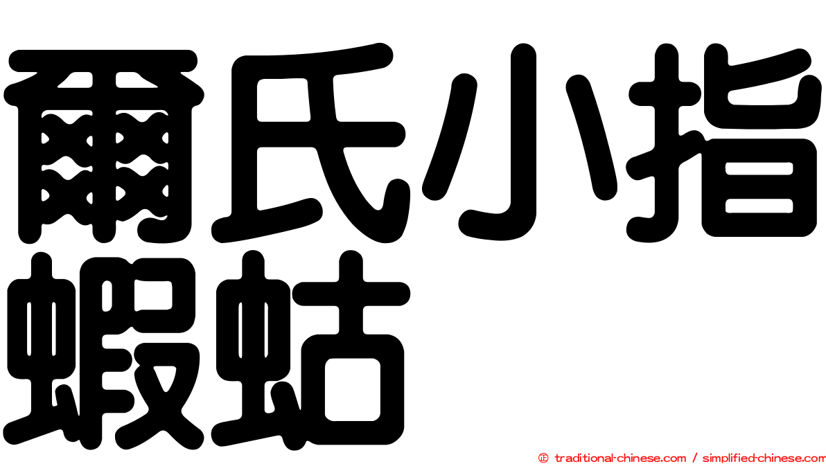 爾氏小指蝦蛄
