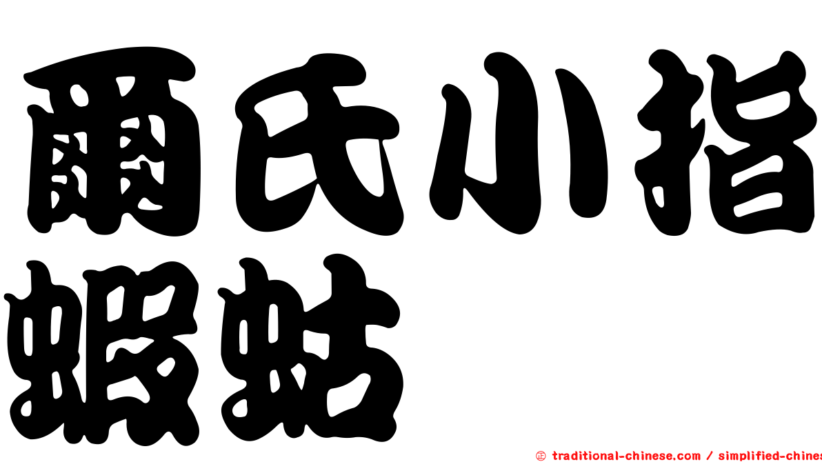 爾氏小指蝦蛄