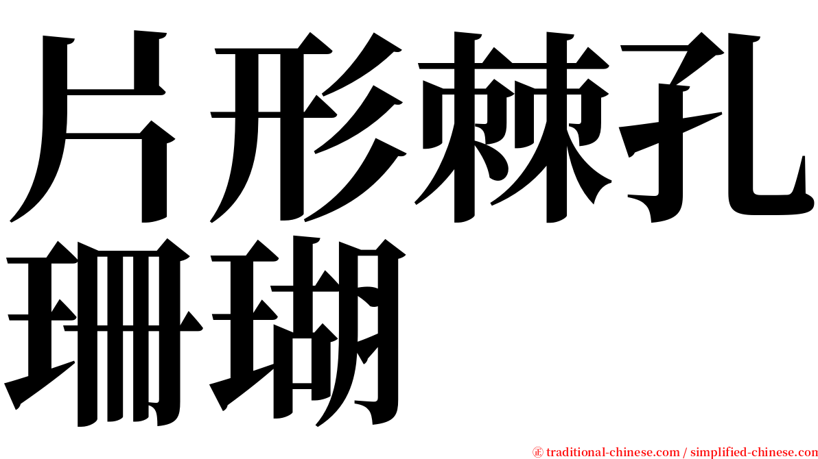 片形棘孔珊瑚 serif font