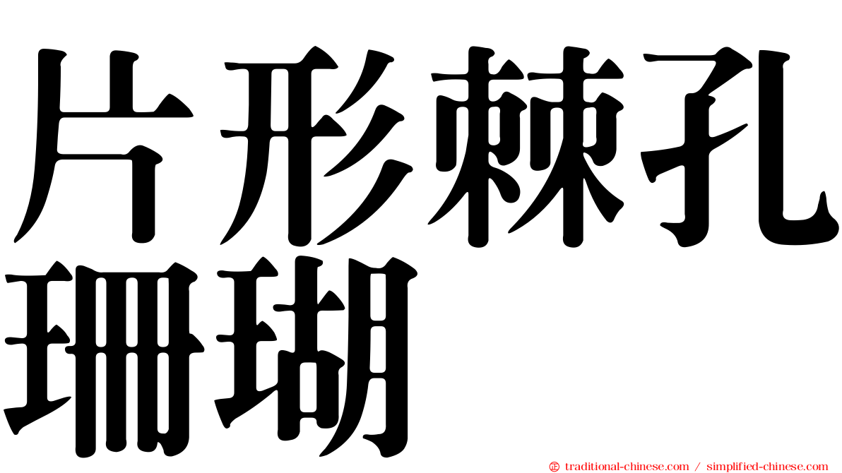 片形棘孔珊瑚
