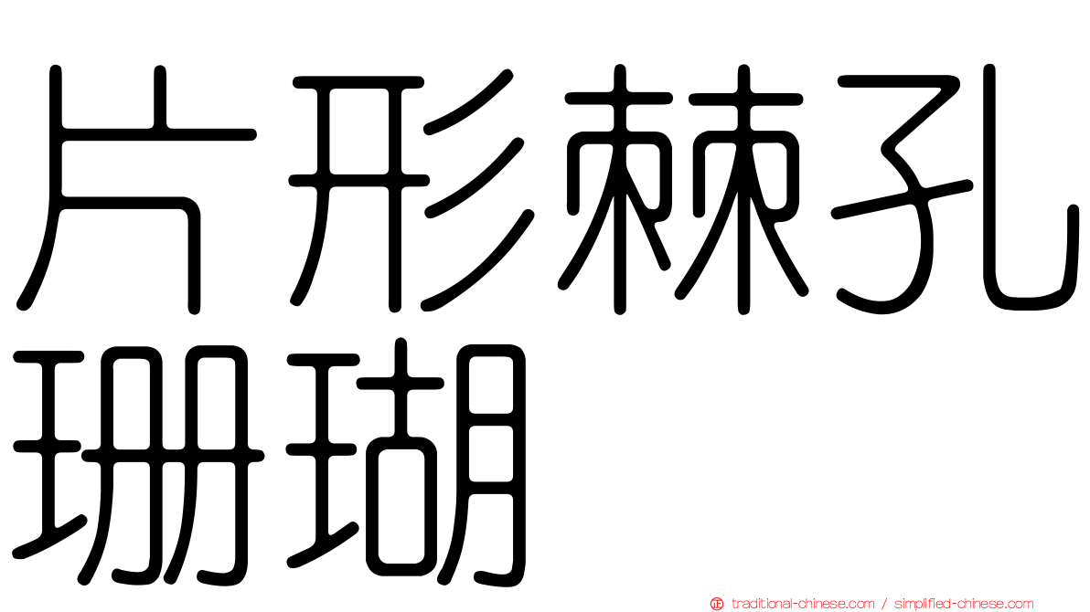 片形棘孔珊瑚