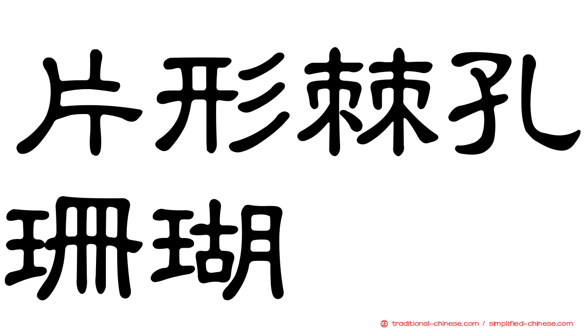 片形棘孔珊瑚