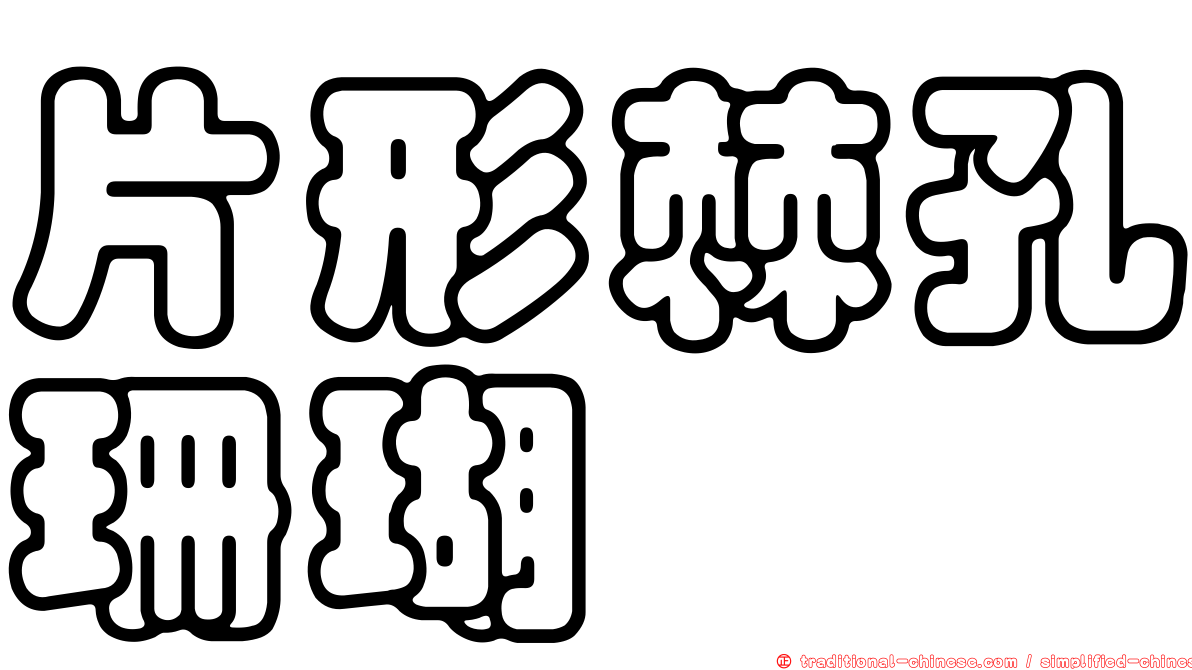 片形棘孔珊瑚