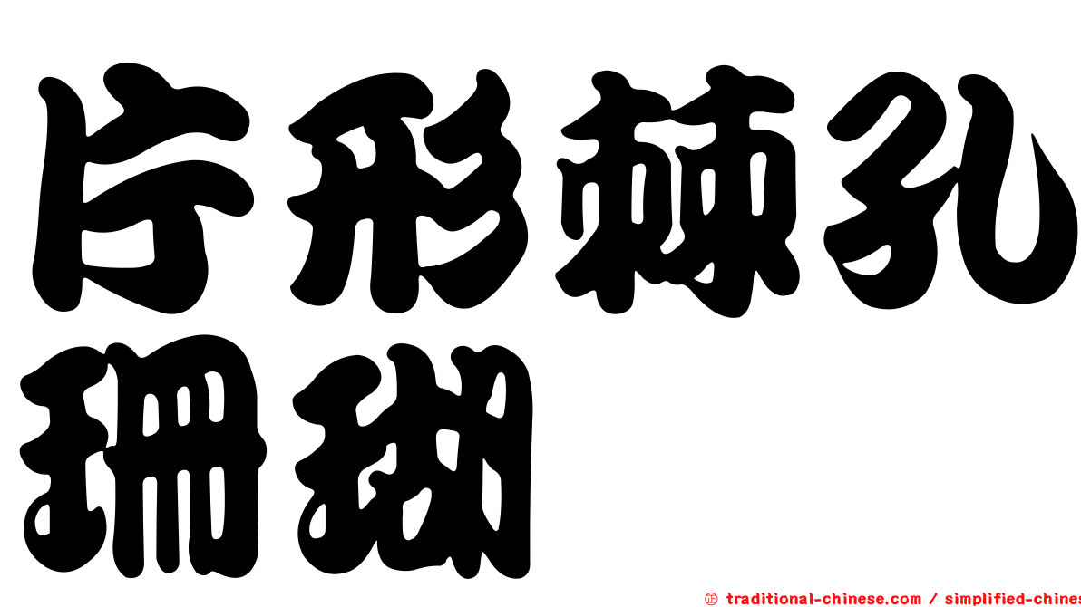 片形棘孔珊瑚