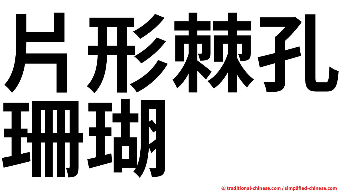 片形棘孔珊瑚