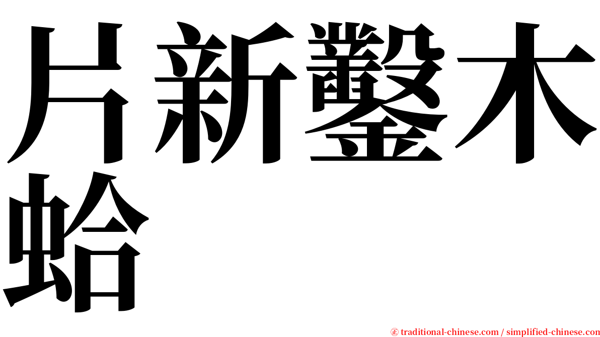 片新鑿木蛤 serif font