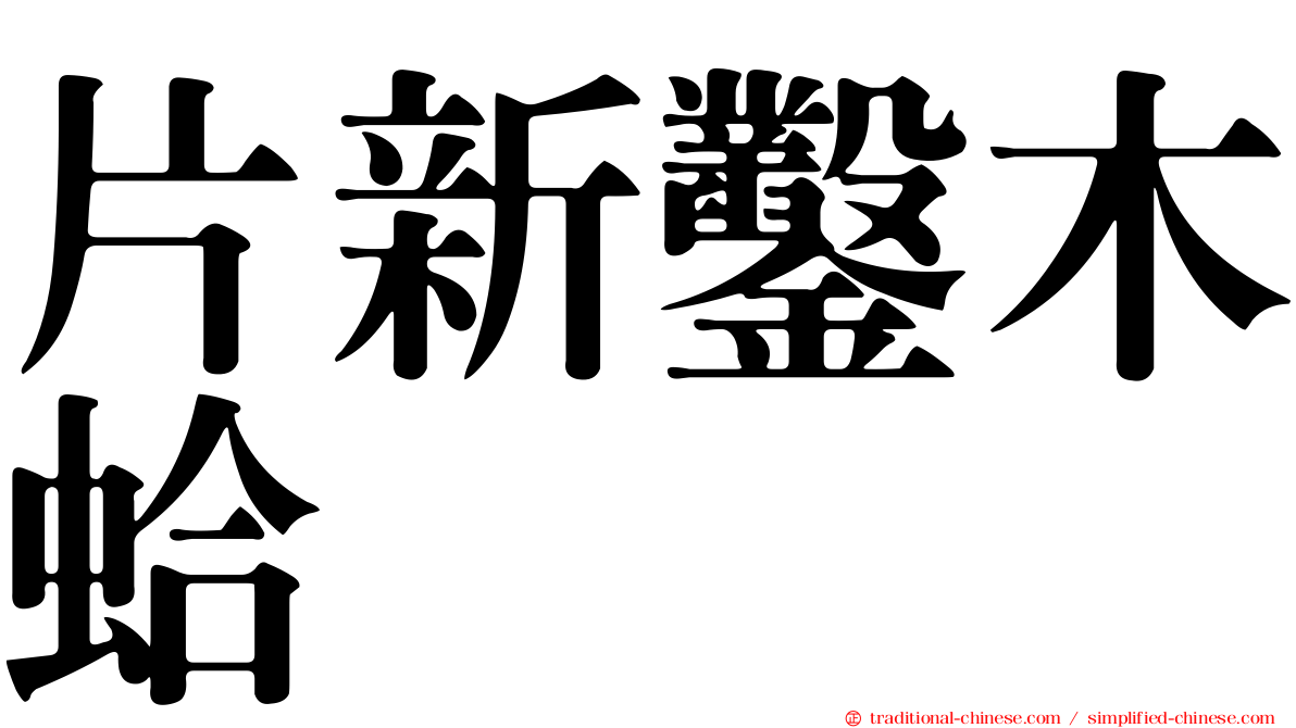 片新鑿木蛤