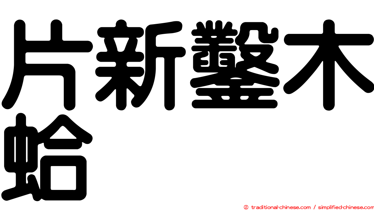 片新鑿木蛤