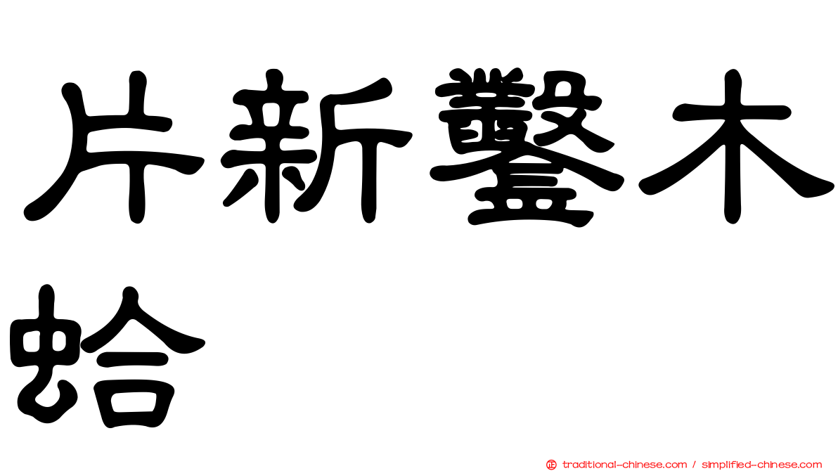 片新鑿木蛤