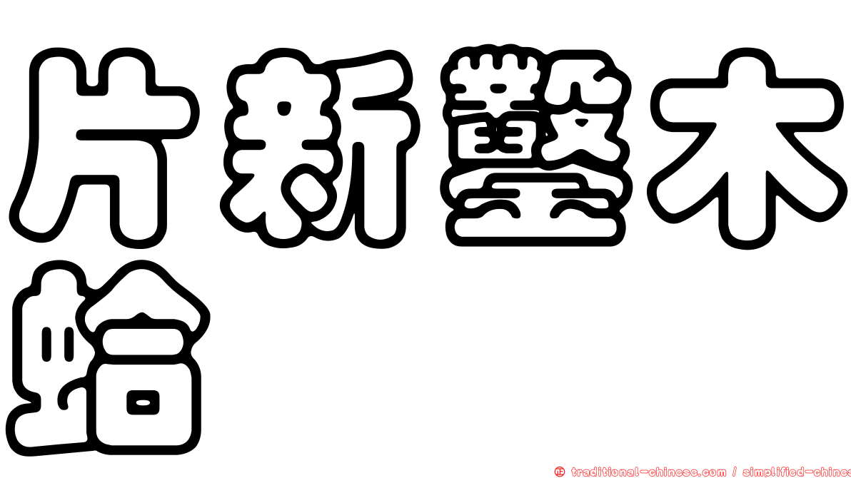 片新鑿木蛤
