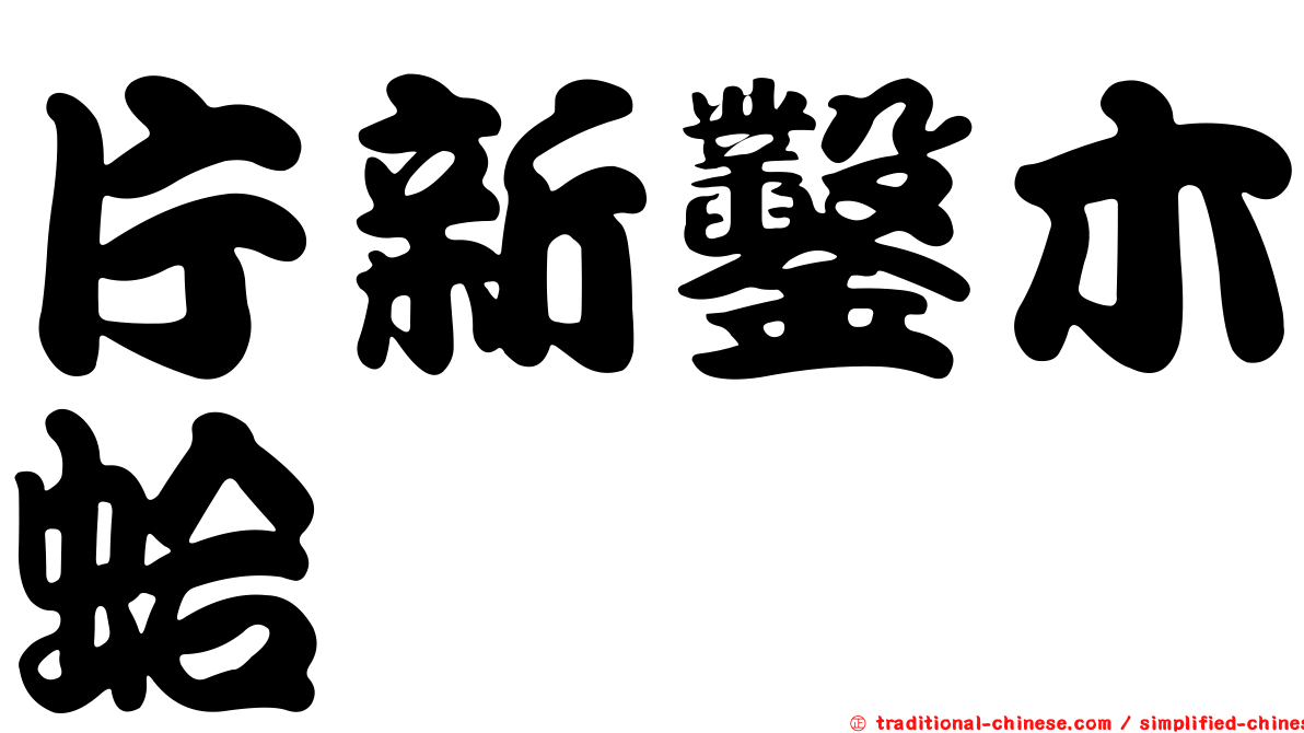 片新鑿木蛤