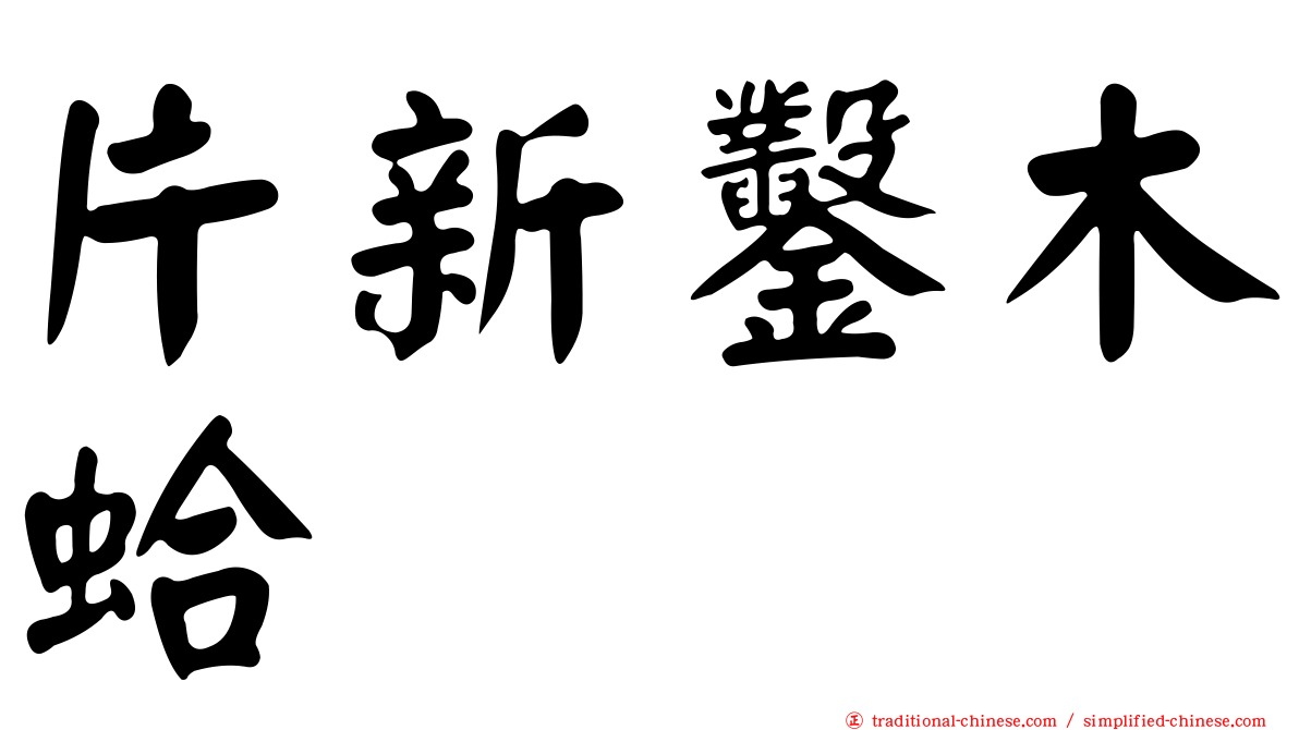 片新鑿木蛤