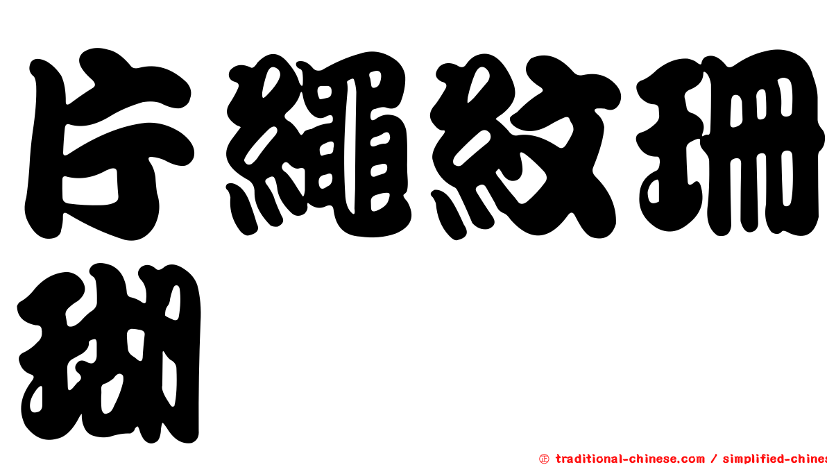片繩紋珊瑚