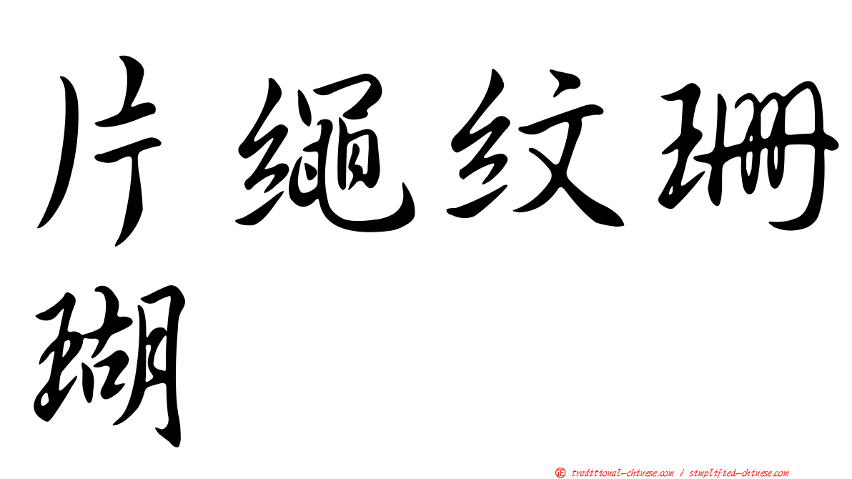 片繩紋珊瑚