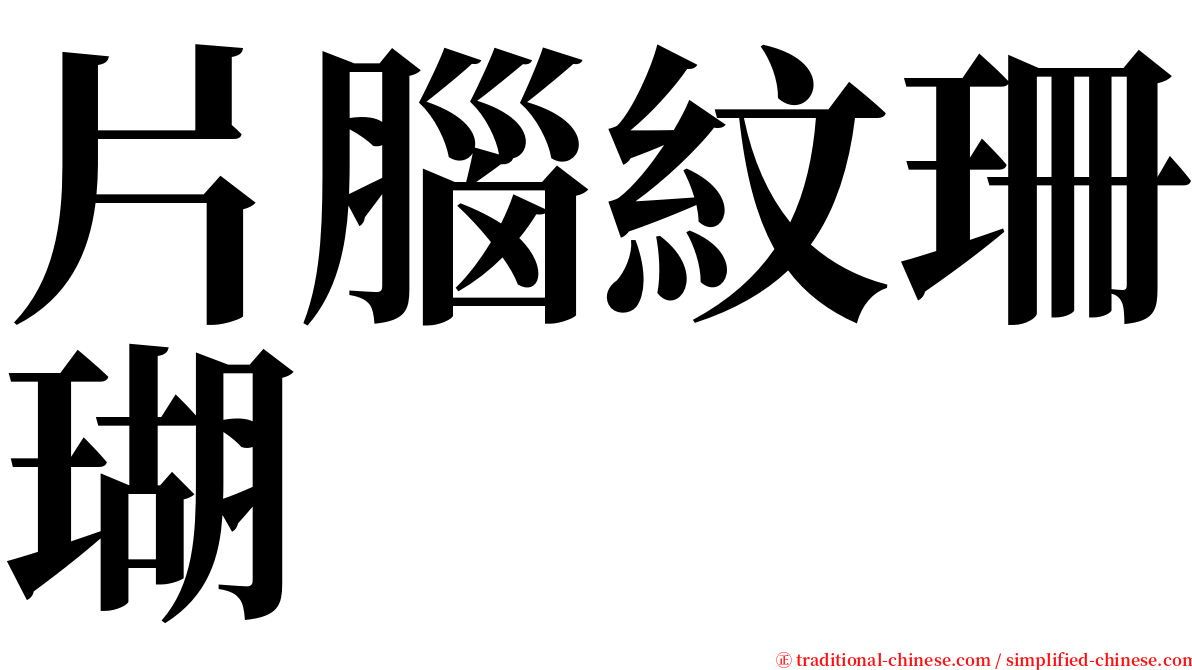 片腦紋珊瑚 serif font