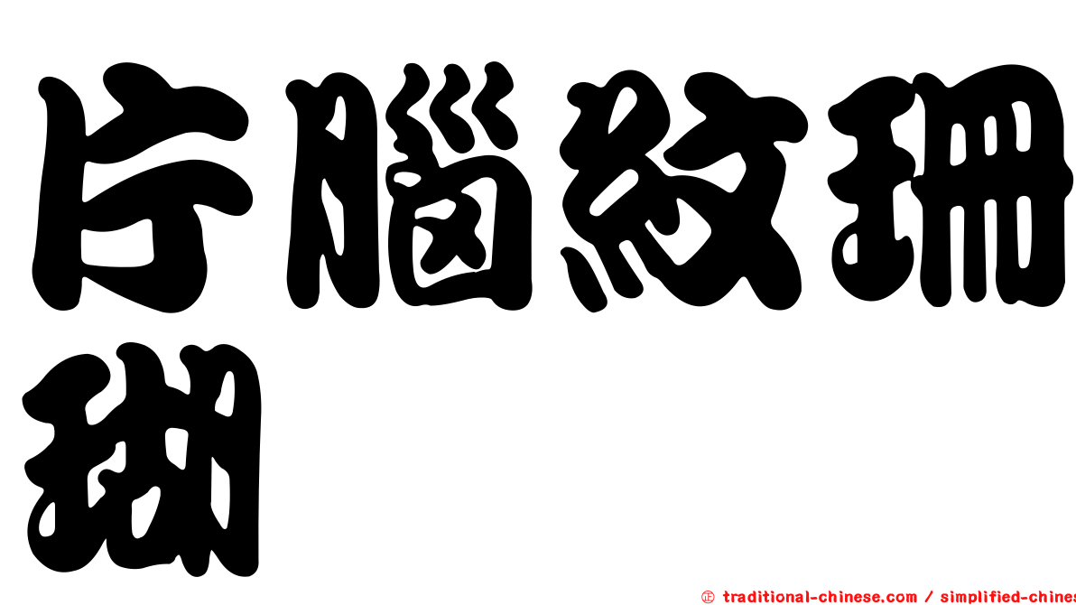 片腦紋珊瑚