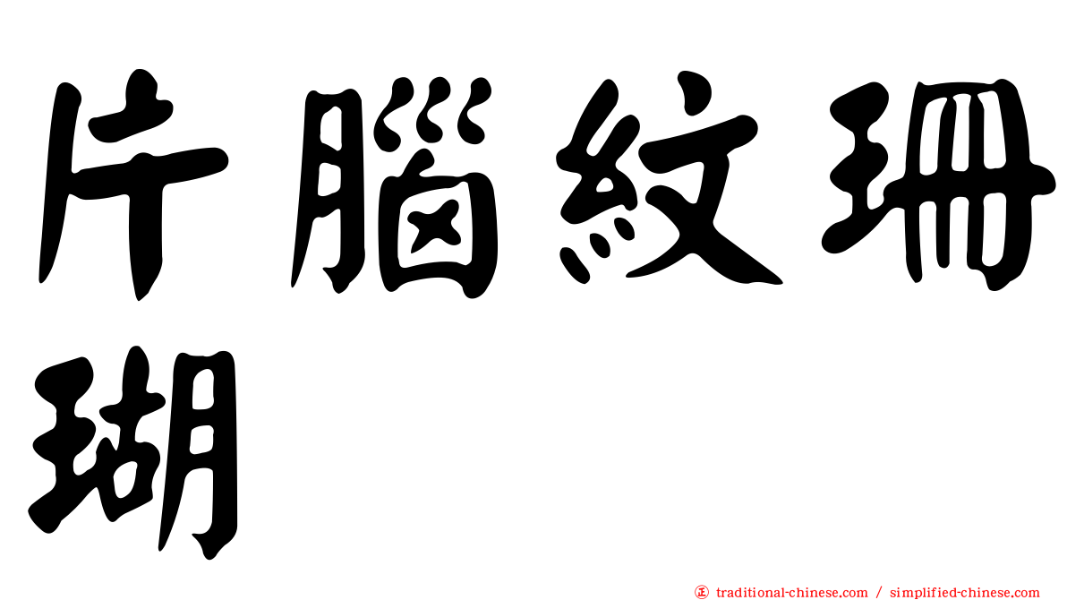 片腦紋珊瑚