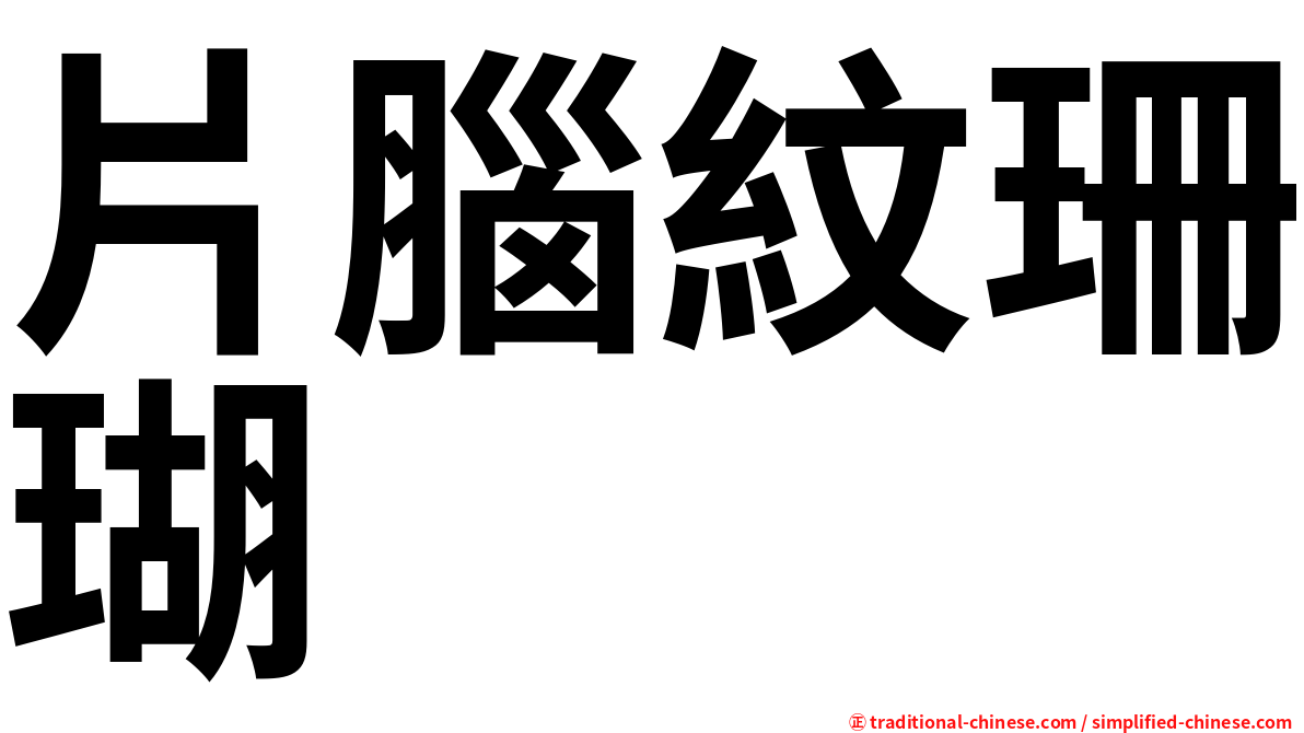 片腦紋珊瑚
