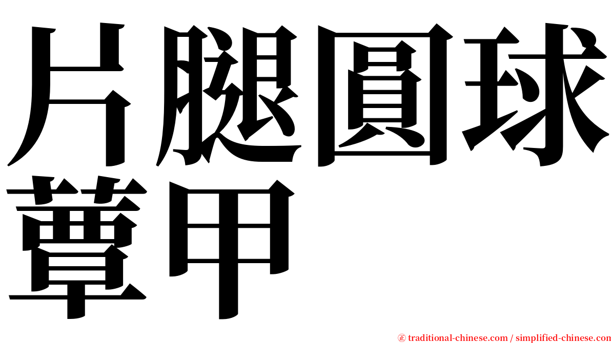 片腿圓球蕈甲 serif font