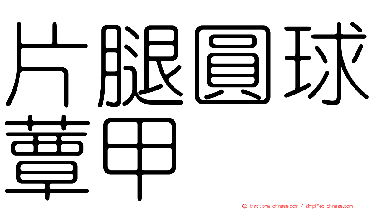 片腿圓球蕈甲