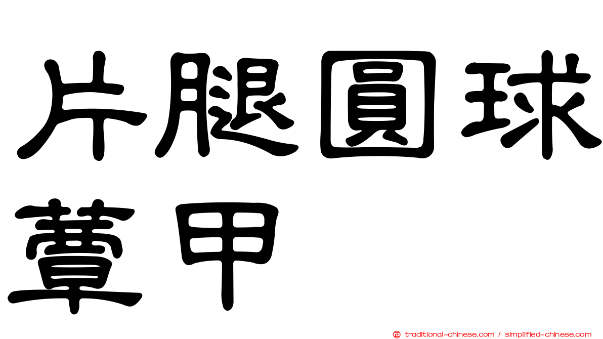 片腿圓球蕈甲