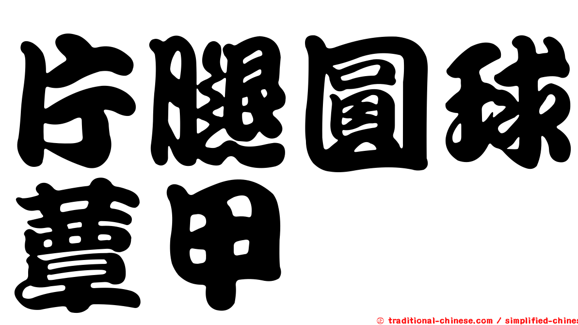 片腿圓球蕈甲