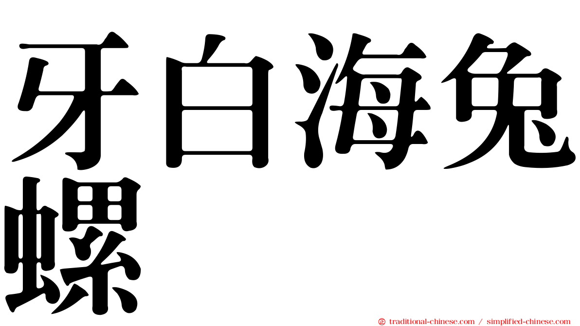 牙白海兔螺