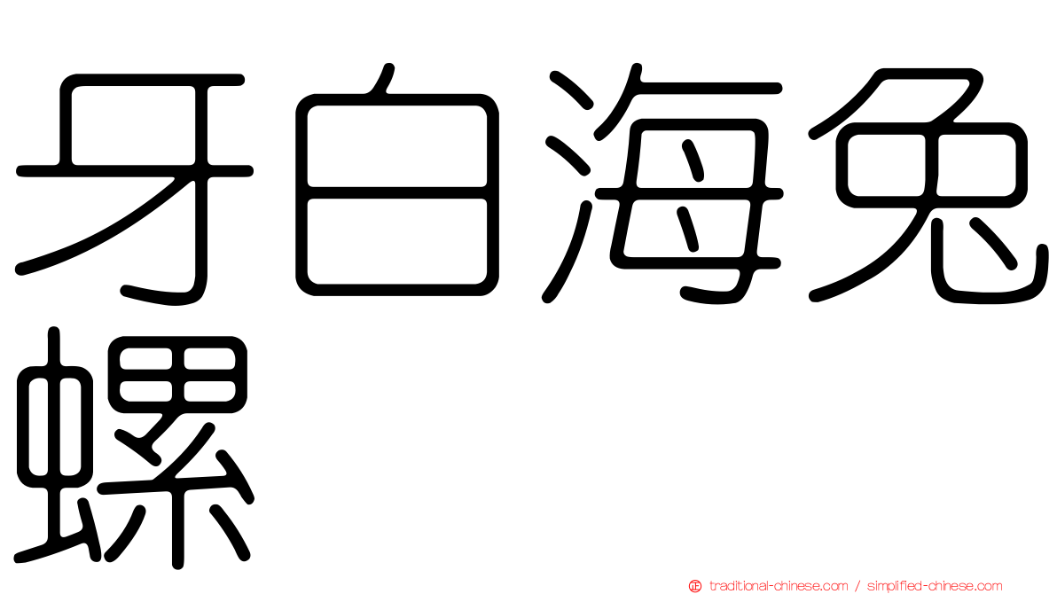 牙白海兔螺