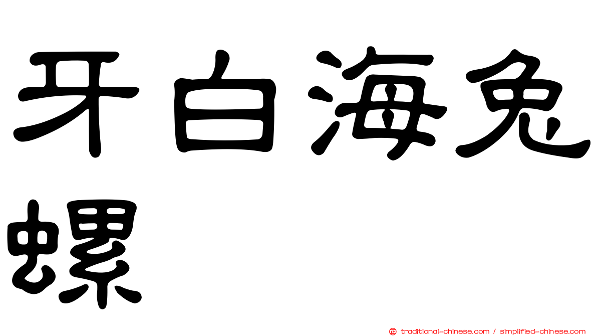 牙白海兔螺
