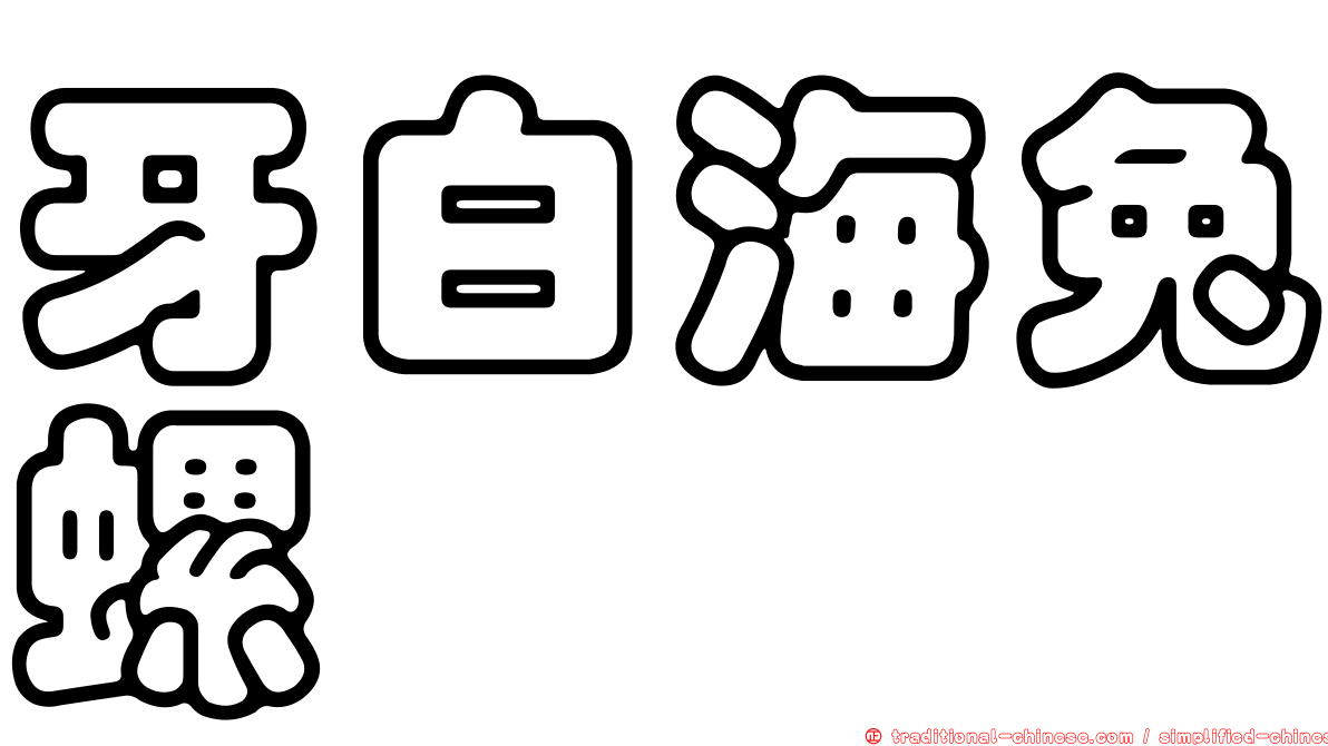 牙白海兔螺