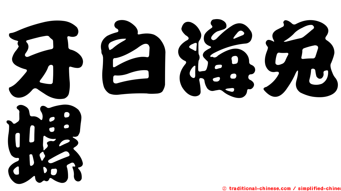 牙白海兔螺