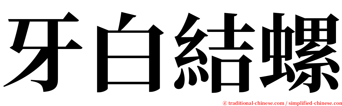 牙白結螺 serif font