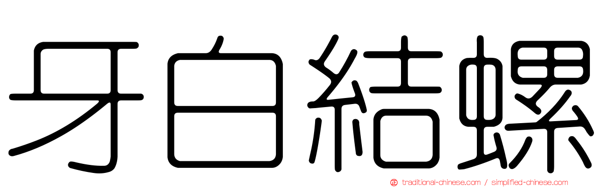 牙白結螺