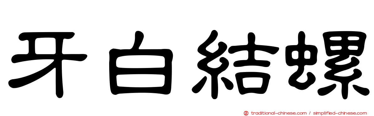 牙白結螺