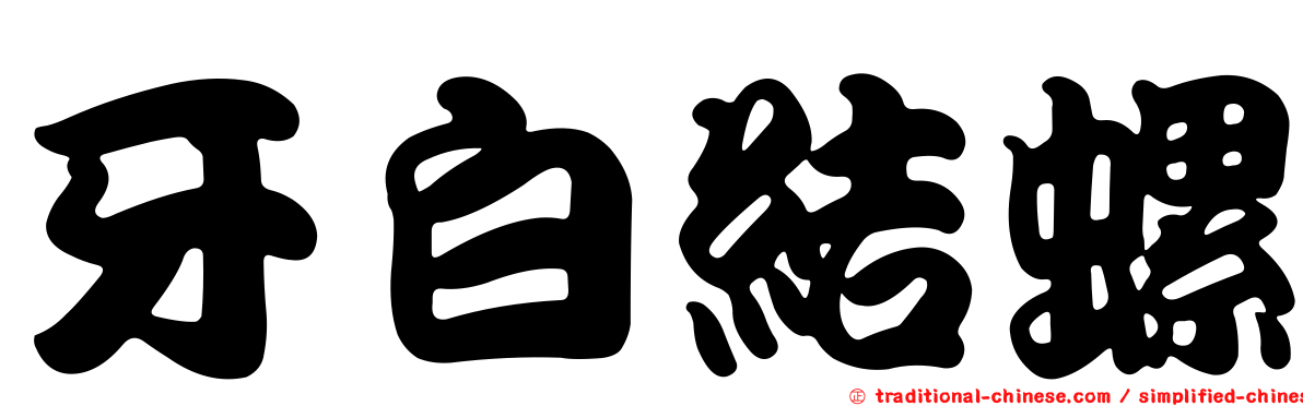 牙白結螺