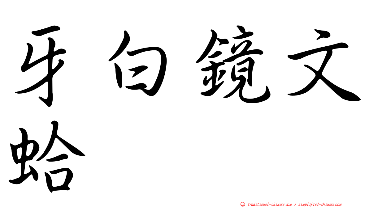 牙白鏡文蛤