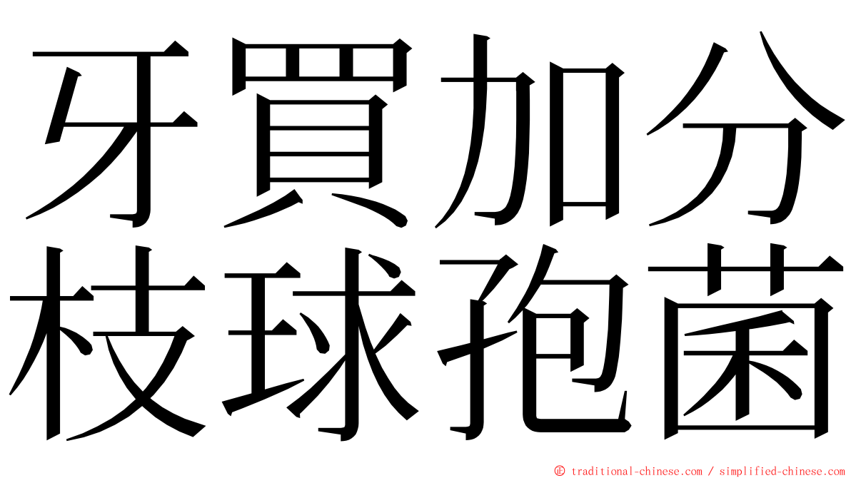 牙買加分枝球孢菌 ming font