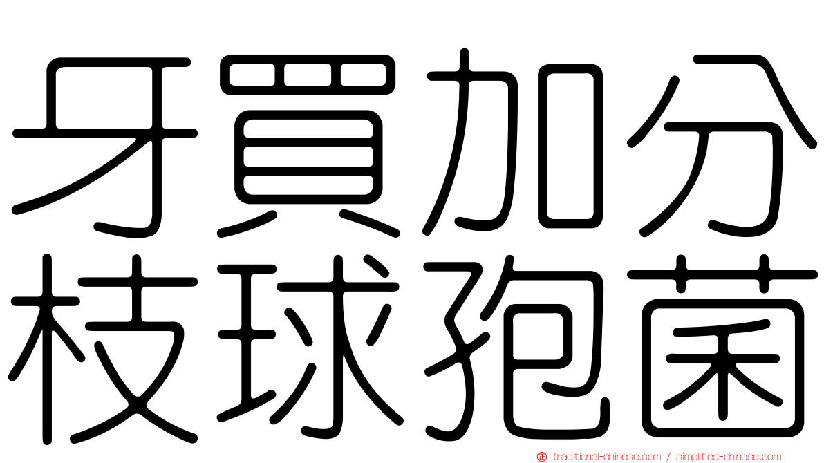 牙買加分枝球孢菌