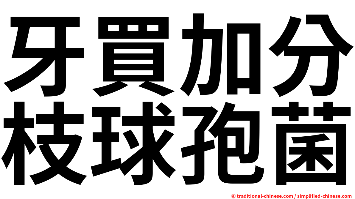 牙買加分枝球孢菌