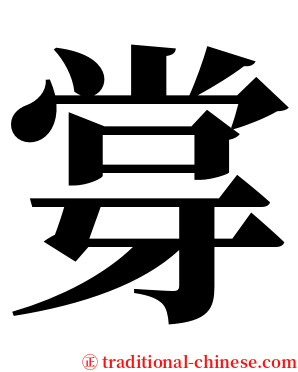 牚 serif font