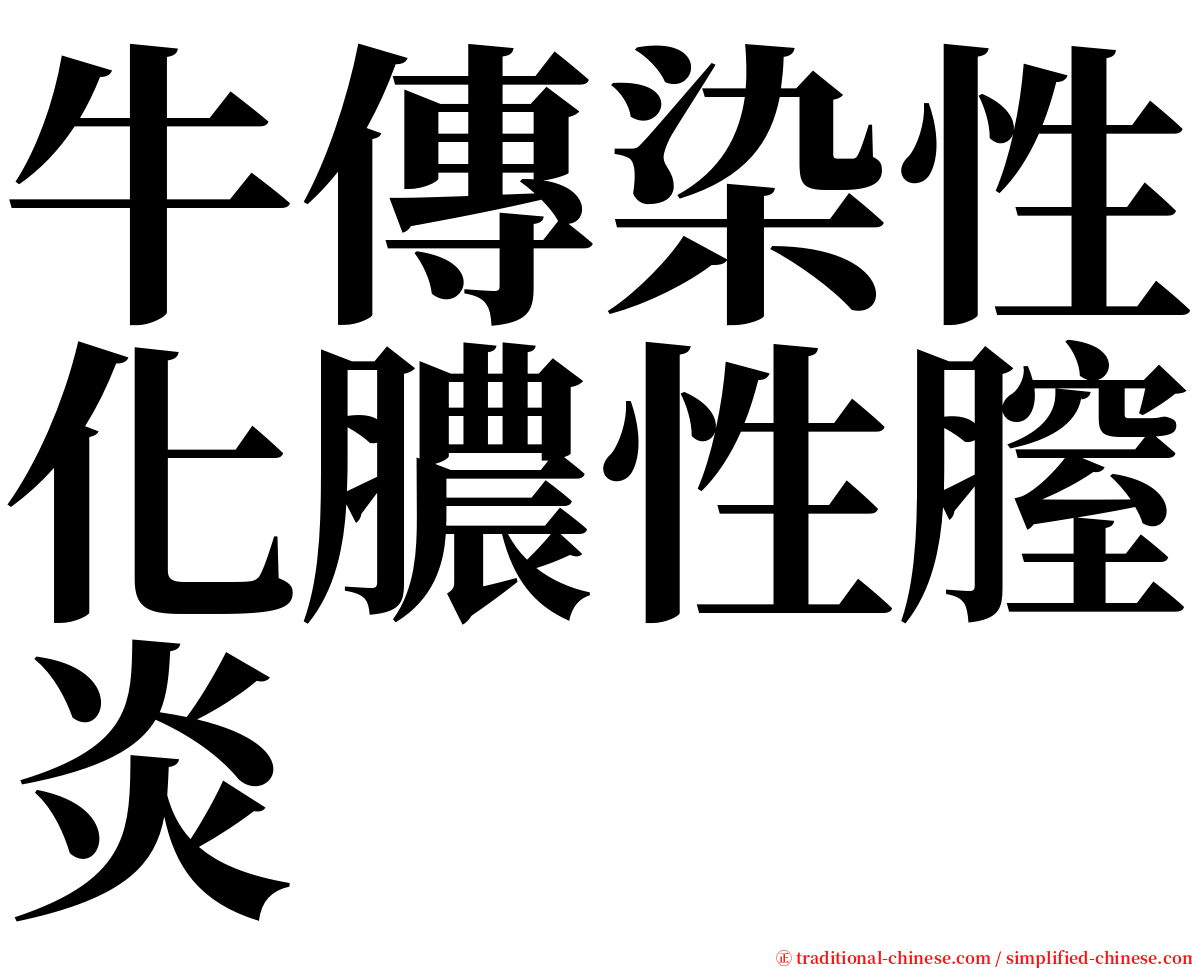 牛傳染性化膿性膣炎 serif font