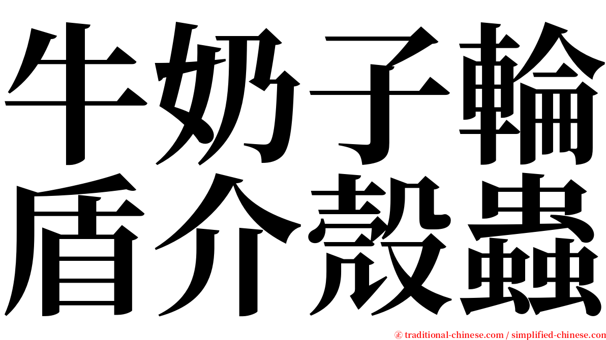 牛奶子輪盾介殼蟲 serif font