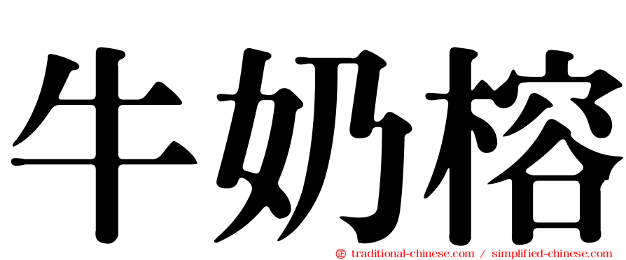 牛奶榕